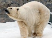 Стоимость билета в Харьковский зоопарк снизится в 4 раза