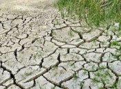 Обнаружены окаменелости, которые расскажут о глобальном потеплении прошлого 