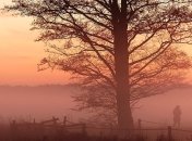 Какой праздник 22 ноября: народные приметы и запреты