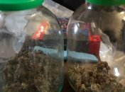 В Киевской области мужчина дома вырастил конопли почти на 1 млн гривен