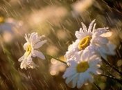 Прогноз погоды в Украине 8 мая: ожидаются дожди с грозами, местами – град