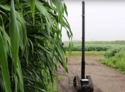 Новый сельскохозяйственный робот будет следить за состоянием растений