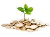 Как пережить эту зиму (читай кризис)