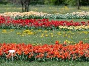 Грозы и потепление: апрель завершается дождями и теплом