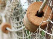 На Одесчине браконьеры напали на сотрудников нацпарка