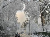 В Украине из-за непогоды без света остались полсотни населенных пунктов