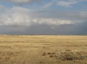 NASA показало снимки таинственных рисунков в Казахстане