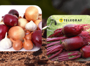 Огородные лайфхаки, проверенные временем