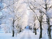 25 ноября. Приметы дня