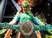 WBC назначил чемпионские и отборочные бои