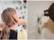 Плесени в доме не место