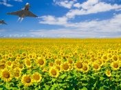 В НАТО обсуждают присоединение Украины к Альянсу