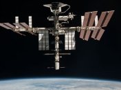 Полярные водоросли выжили после 16 месяцев пребывания в открытом космосе