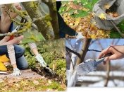 Подготовьте ваш сад к зиме правильно