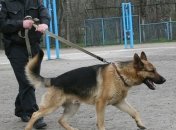 С завтрашнего дня частные охранники уже будут с оружием и собаками