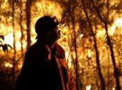 В Австралии не утихают лесные пожары: более 300 домов разрушены