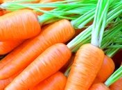 Как правильно проводить разгрузочный день на моркови