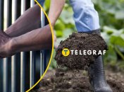 Колаж "Телеграф"