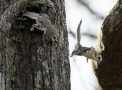 Украине обещают стремительную оттепель, местами днем будет до +13°