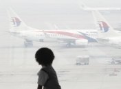 Пассажирский самолет сбил корову