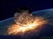 Падение астероида на Землю убило не только динозавров, но и лесных птиц