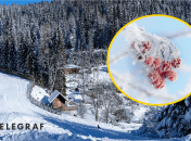 Погода в Україні у грудні