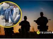 Мобілізація