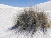 США потерпають від страшної засухи через світову зміну клімату