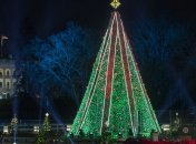 Главная елка США осталась без огней из-за частичного "шатдауна"