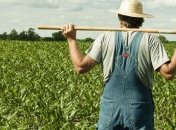 15 тисяч українців виїде до Фінляндії на сезонні роботи