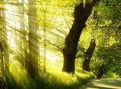 Погода в Украине 3 июля: на западе и юге - дожди и грозы 