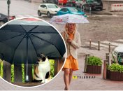 Погода в столиці України