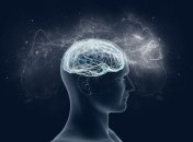 Мозг человека работает не на 10%