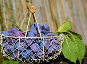 Сливи — улюблений у багатьох фрукт