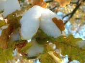 Заморозки, дожди и мокрый снег: синоптики рассказали о погоде на ближайшую неделю