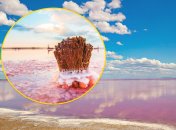 Что особенного в "розовом" озере Украины и что с ним во времия оккупации