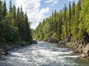 Опасный уровень антибиотиков найден в реках 72 стран