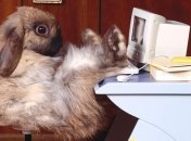 Как защититься от интернет-преступников?