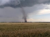 Иллюстративное фото