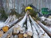 На Харьковщине мужчина умер от падения дерева, которое он спилил