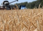 Кабмин распределил средства на поддержку аграриев 