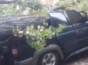 Шторм в Одессе и снег в Карпатах: как Украина оказалась в плену непогоды (Видео)