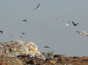 Сэкономить деньги Украине поможет мусор 