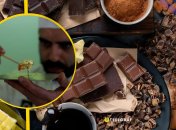 Иллюстративное фото