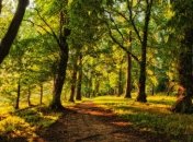 Прогноз погоды в Украине на 15 сентября: будет солнечно