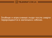 Поделись улыбкою своей: забавная подборка анекдотов на вечер 24 августа