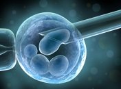 9 самых распространенных ЭКО мифов