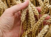 Земельна реформа має надати переваги фермерам