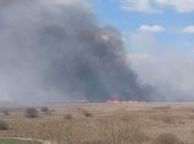 У Польщі третю добу горить найбільший національний парк