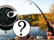 Есть ли Украине рыбы, имеющие черную икру